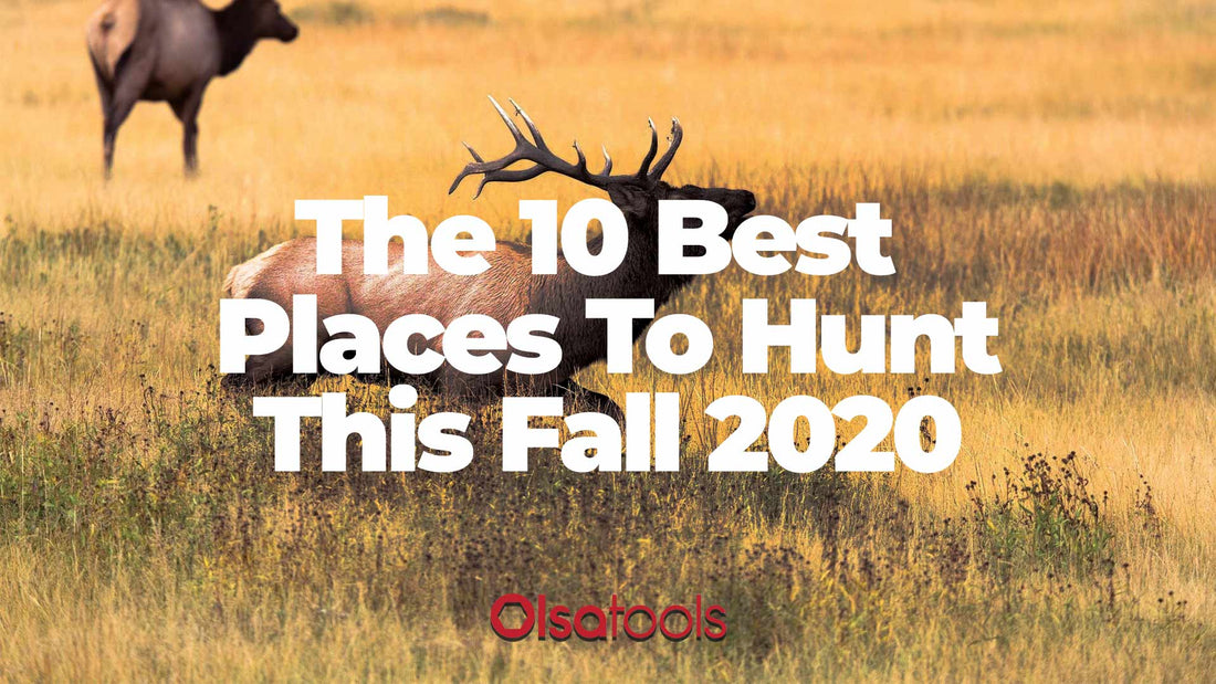 The 10 Best Places To Hunt This Fall 2021